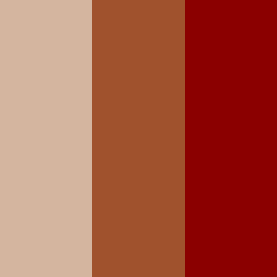Download warm red color palette PNG image (square)