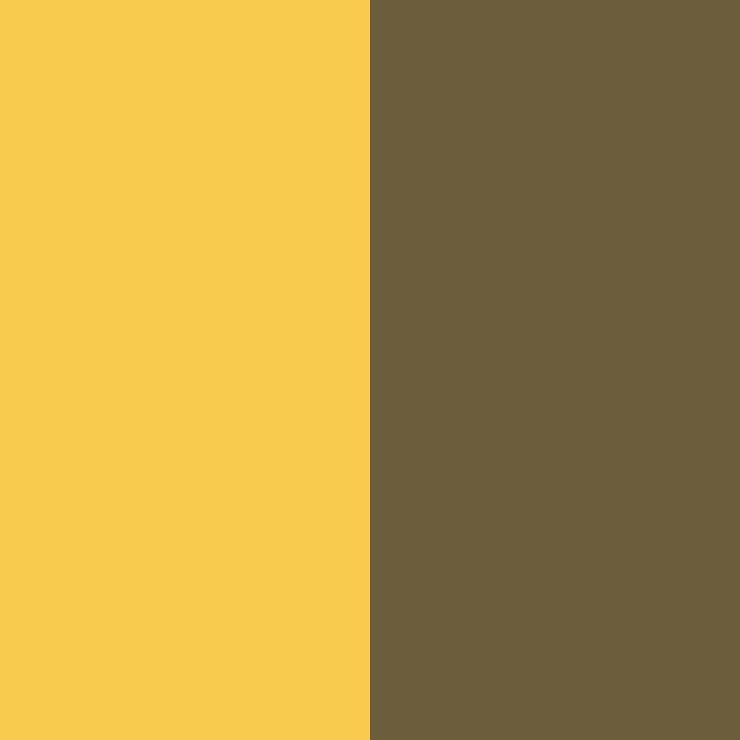 Download golden brown color palette PNG image (square)