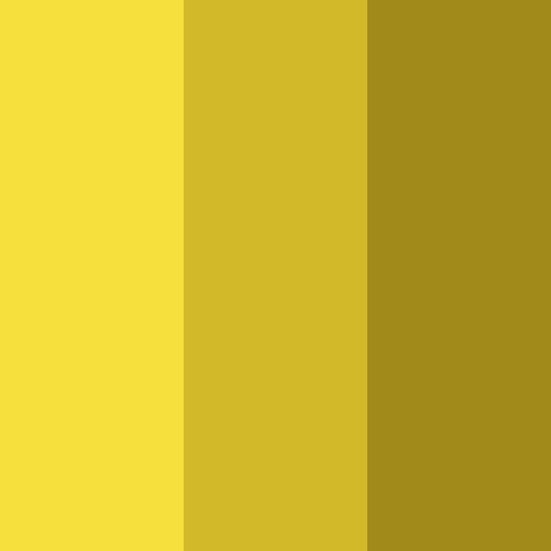Download golden harmony color palette PNG image (square)