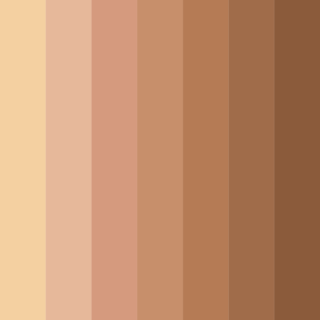 Download warm skin tones color palette PNG image (square)