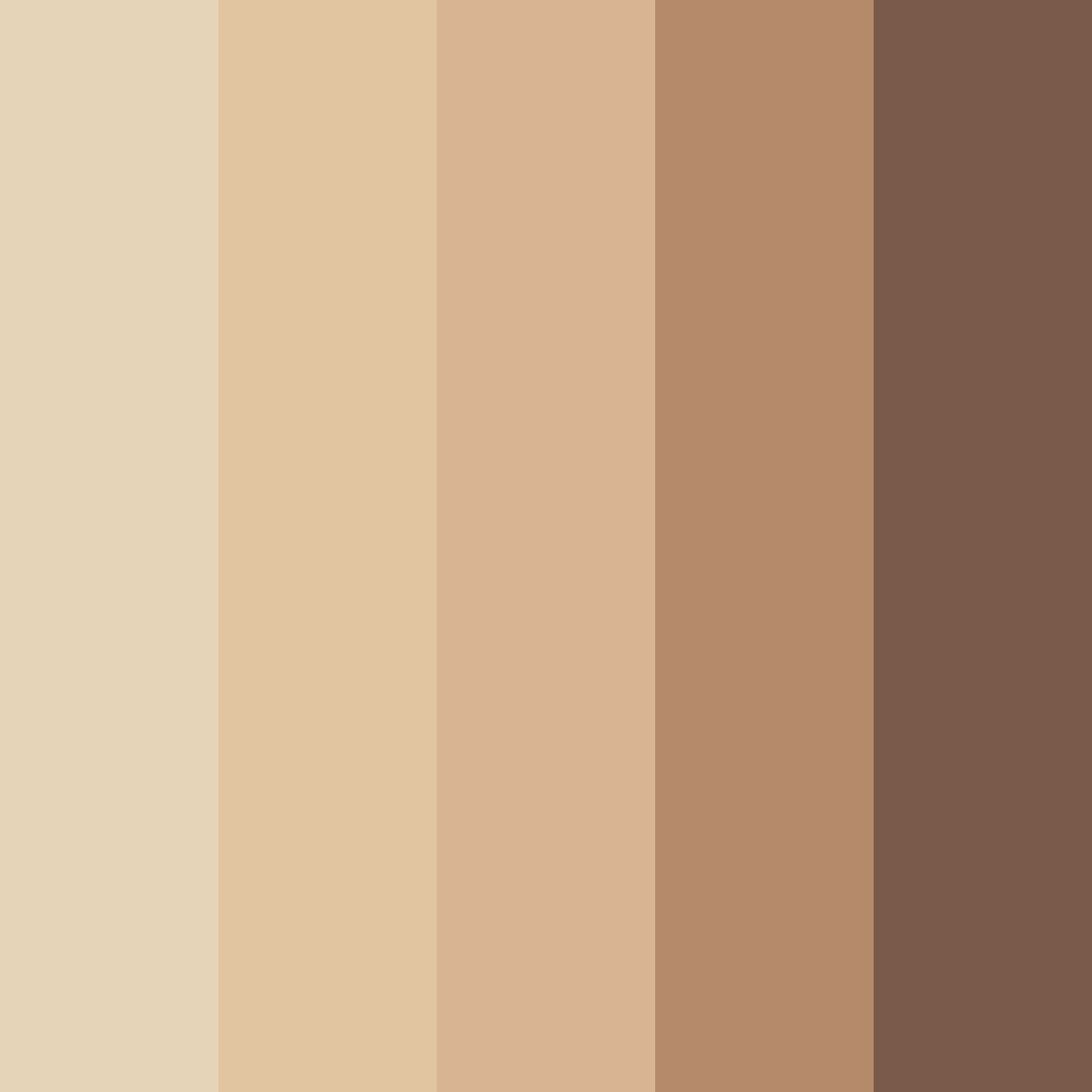 Download desert dunes color palette PNG image (square)
