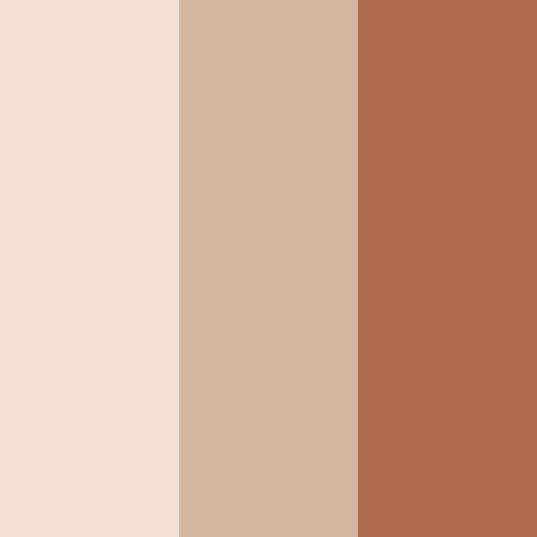 Download warm terracotta color palette PNG image (square)
