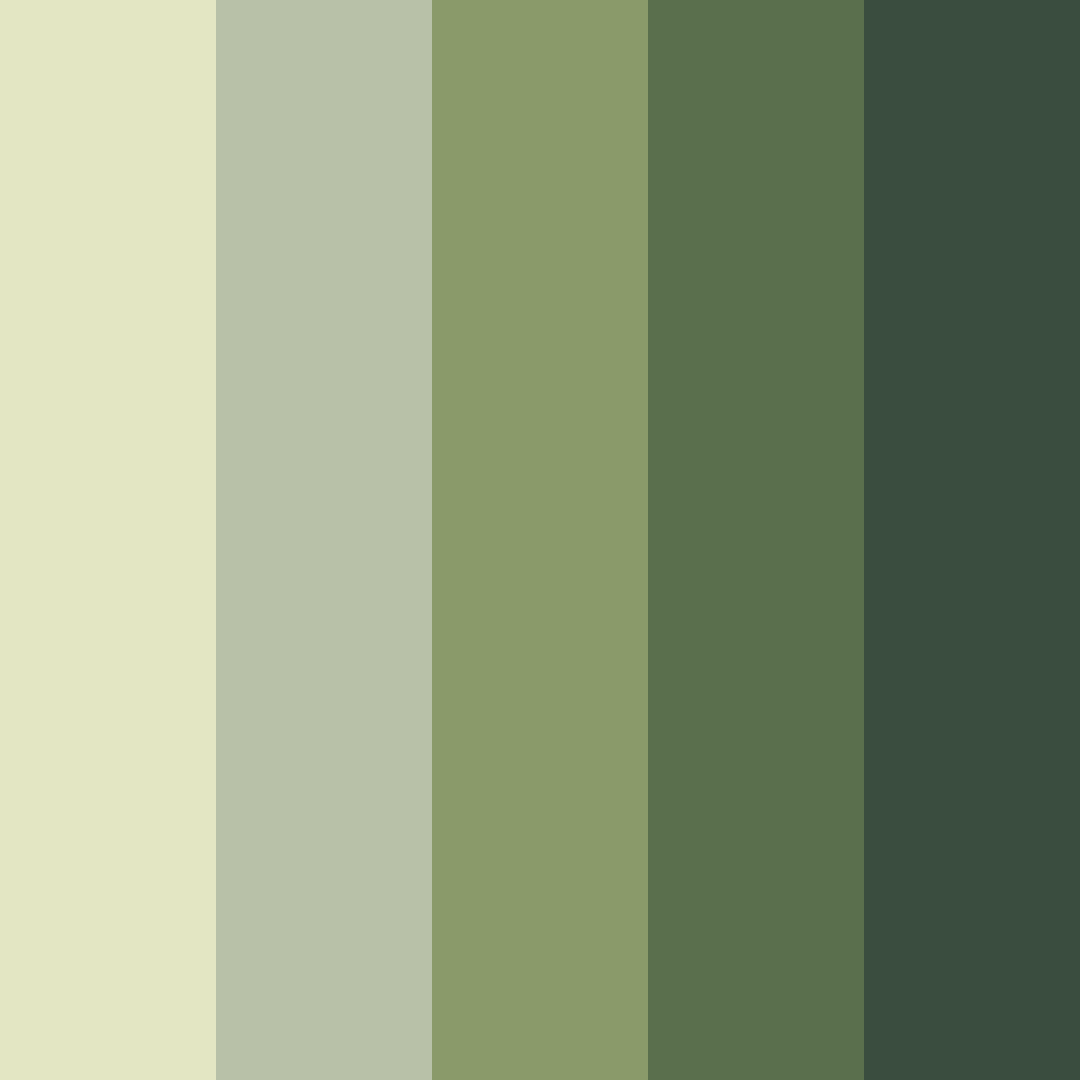 Download olive harmony color palette PNG image (square)