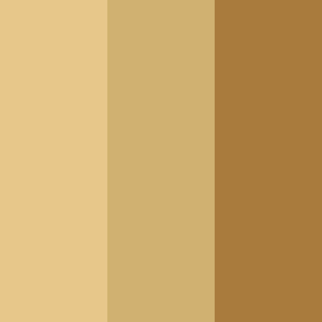Download gilded memories color palette PNG image (square)