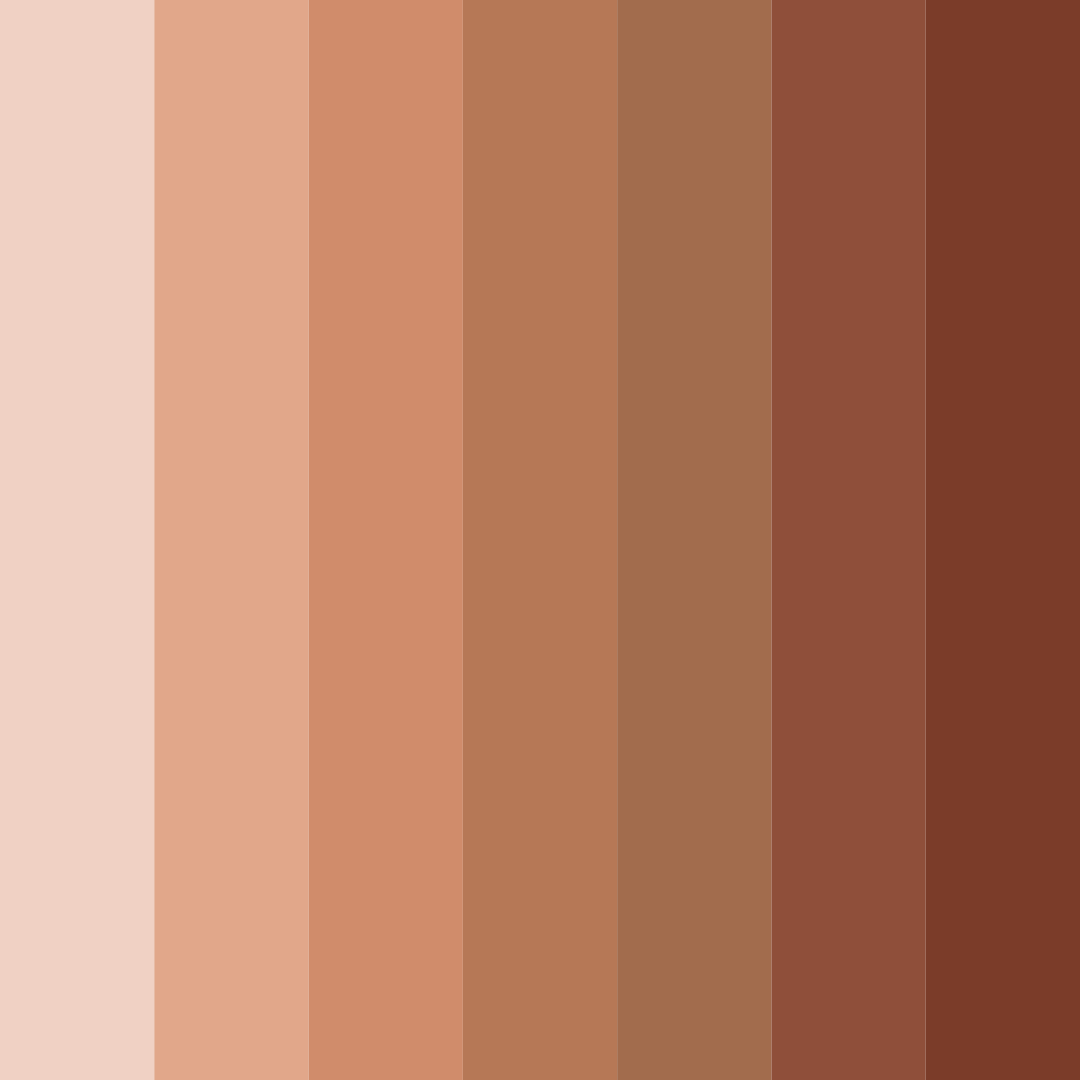 Download warm brown color palette PNG image (square)