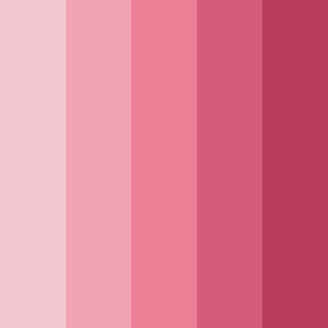 Download pink rose color palette PNG image (square)