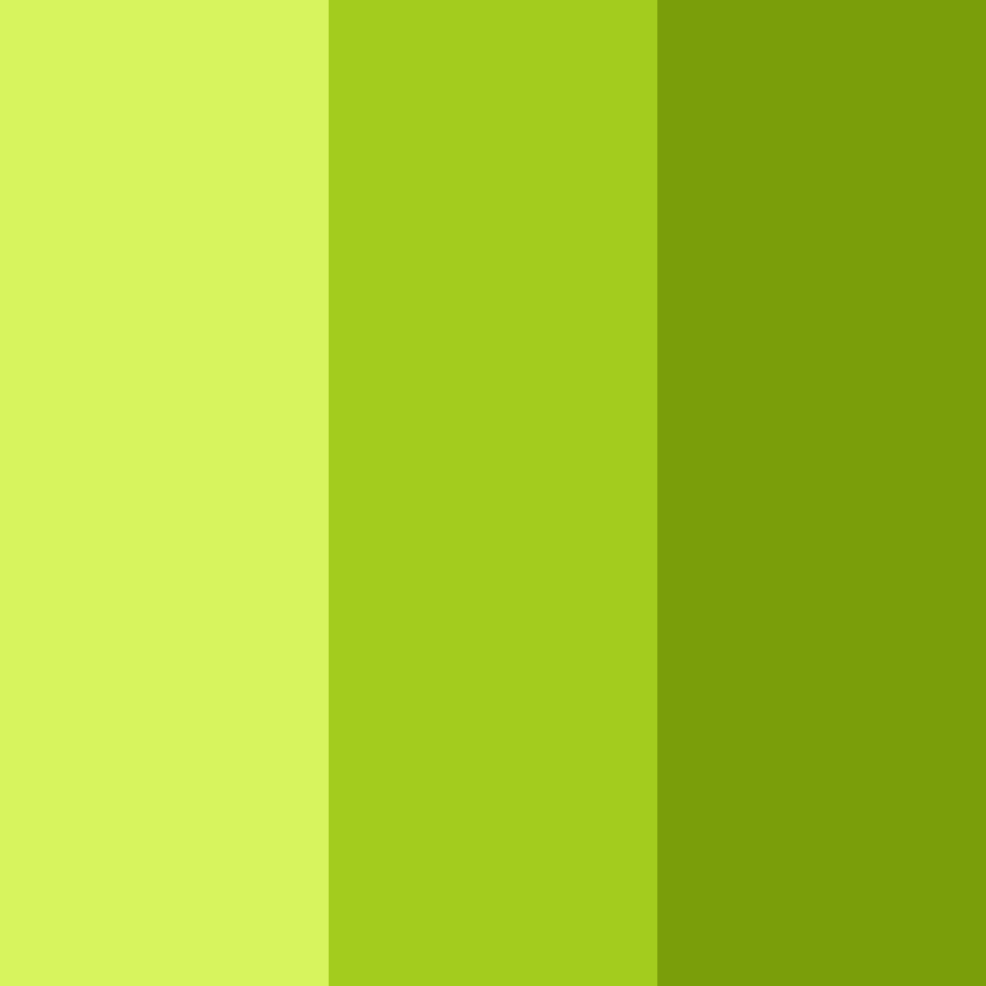 Download lime grove delight color palette PNG image (square)