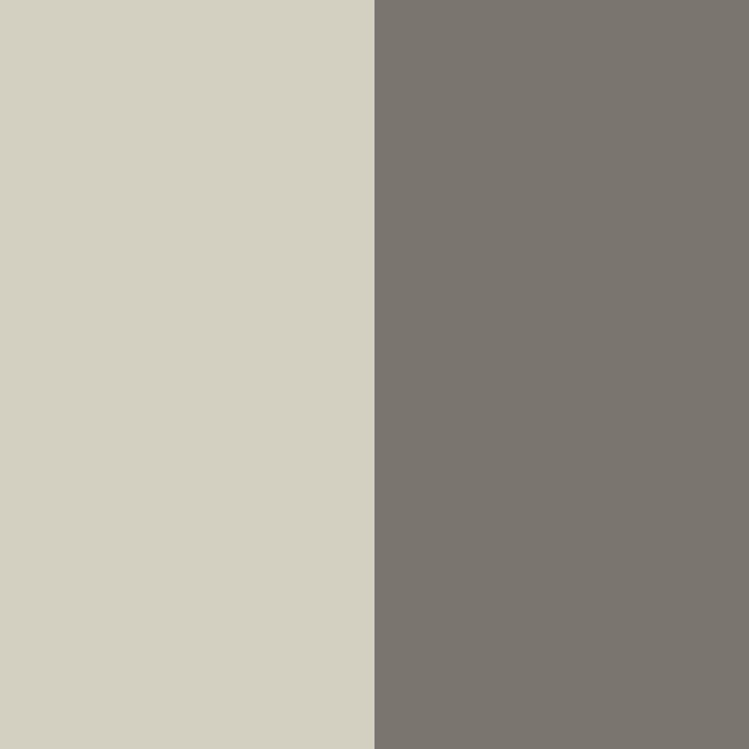 Download whispering earthtones color palette PNG image (square)