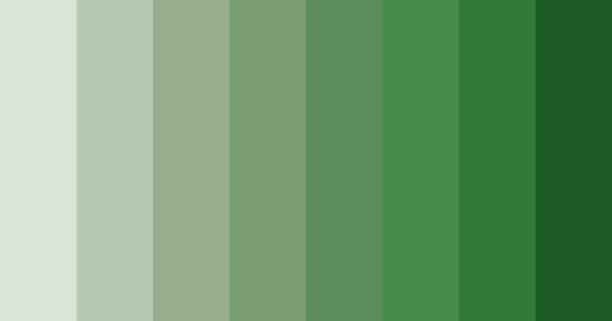Download sage green color palette PNG image (landscape)