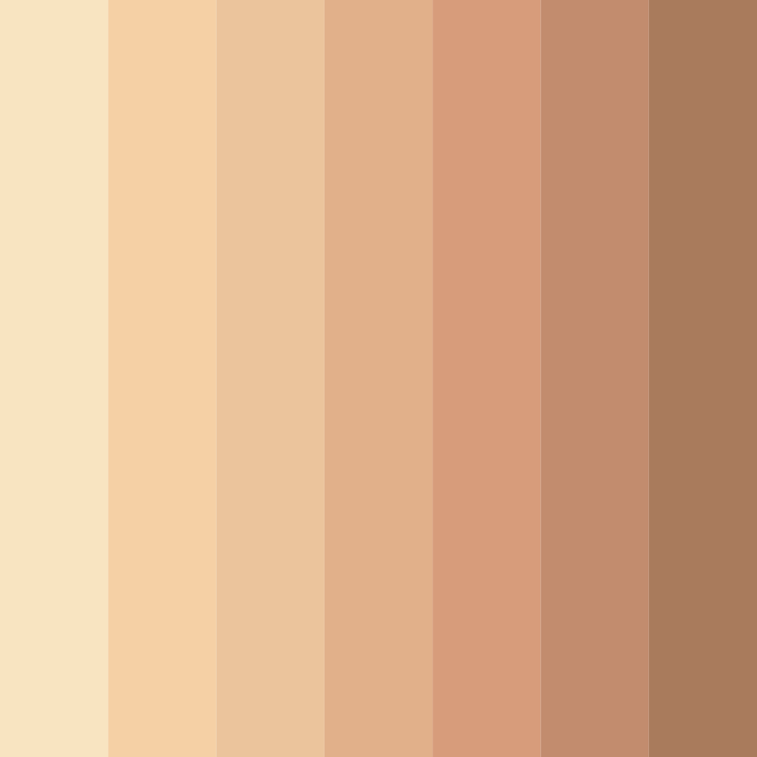 Download peachy shades color palette PNG image (square)