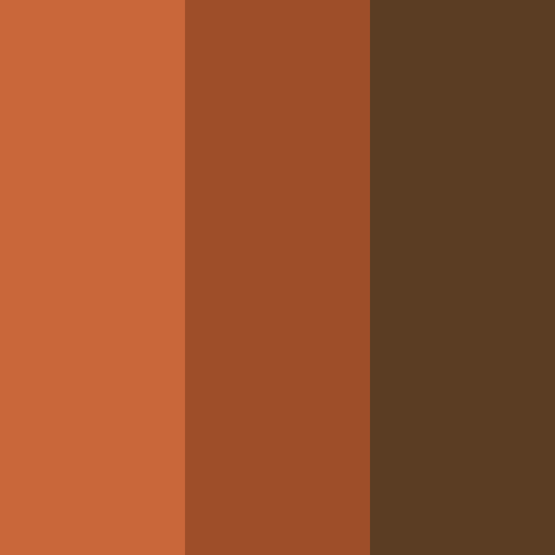Download rustic brown color palette PNG image (square)