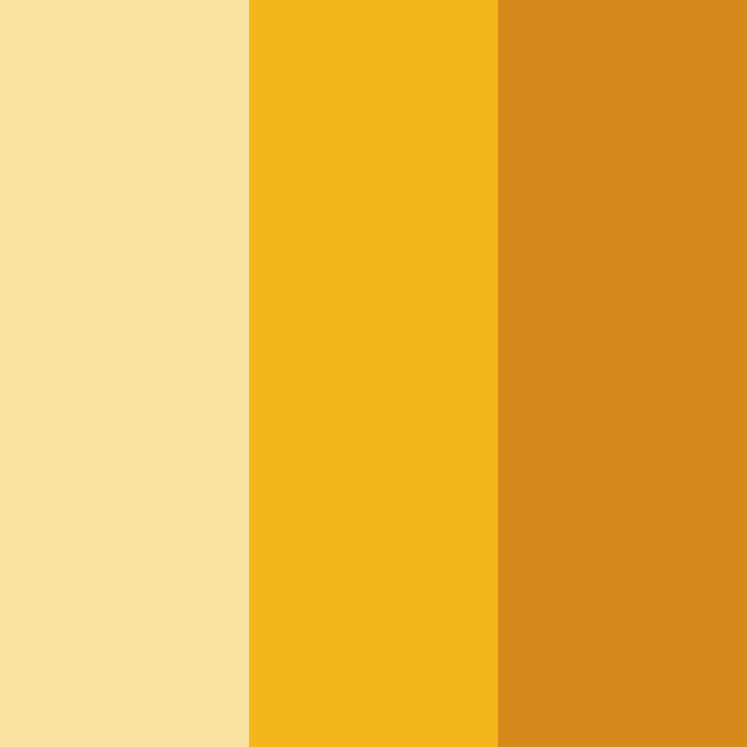 Download golden sunshine color palette PNG image (square)