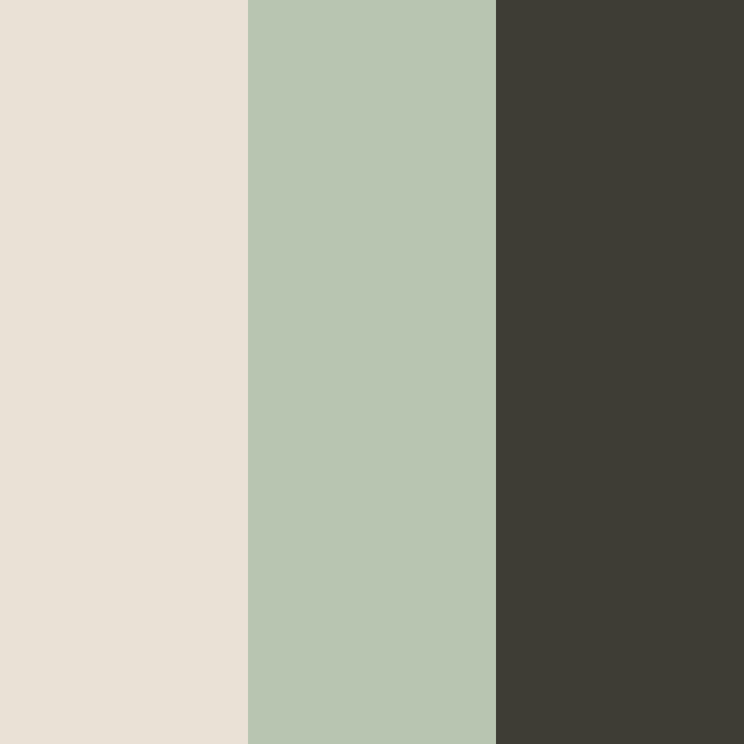Download whispering woods color palette PNG image (square)