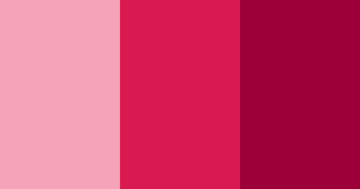 Download pink passion color palette PNG image (landscape)