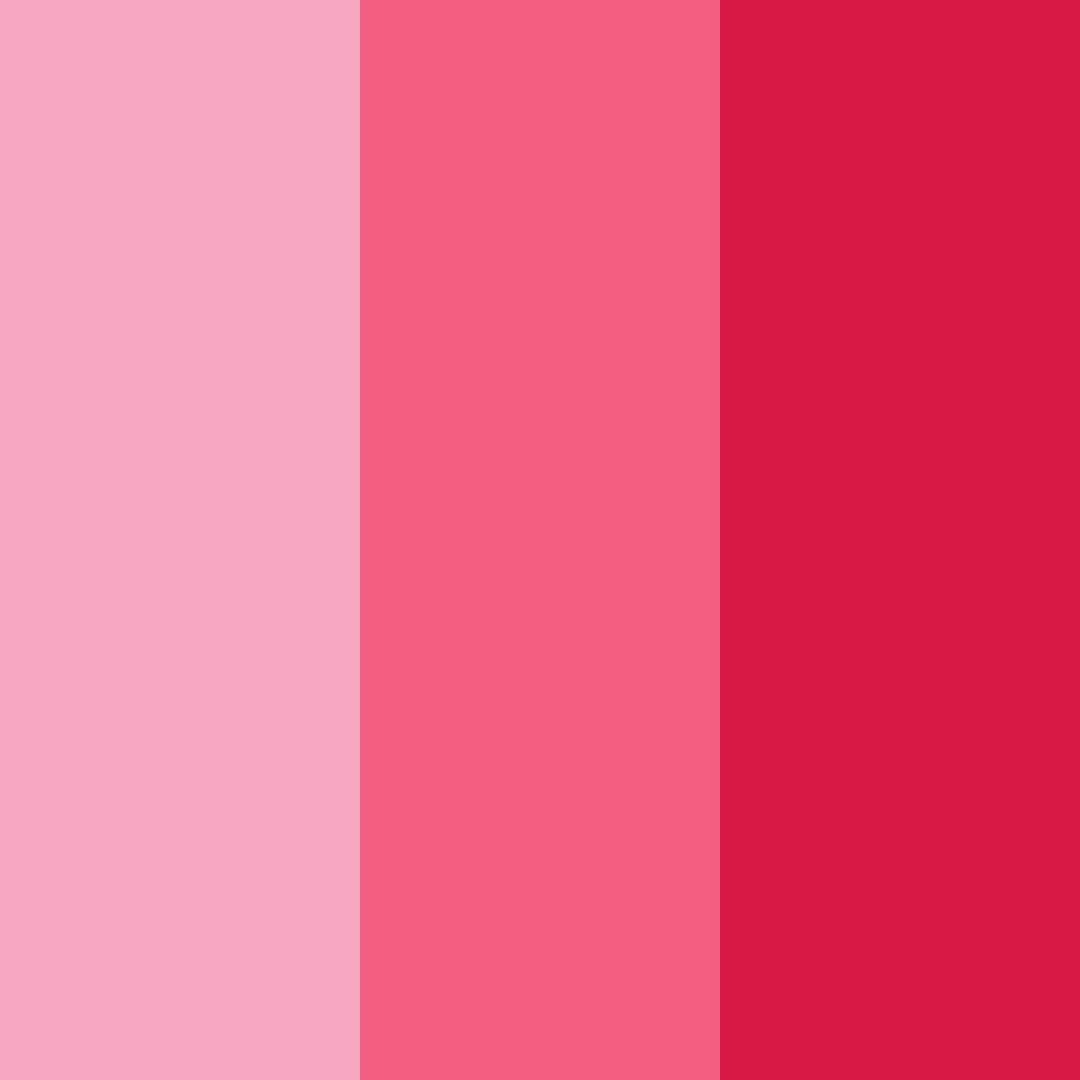 Download pink taffy color palette PNG image (square)