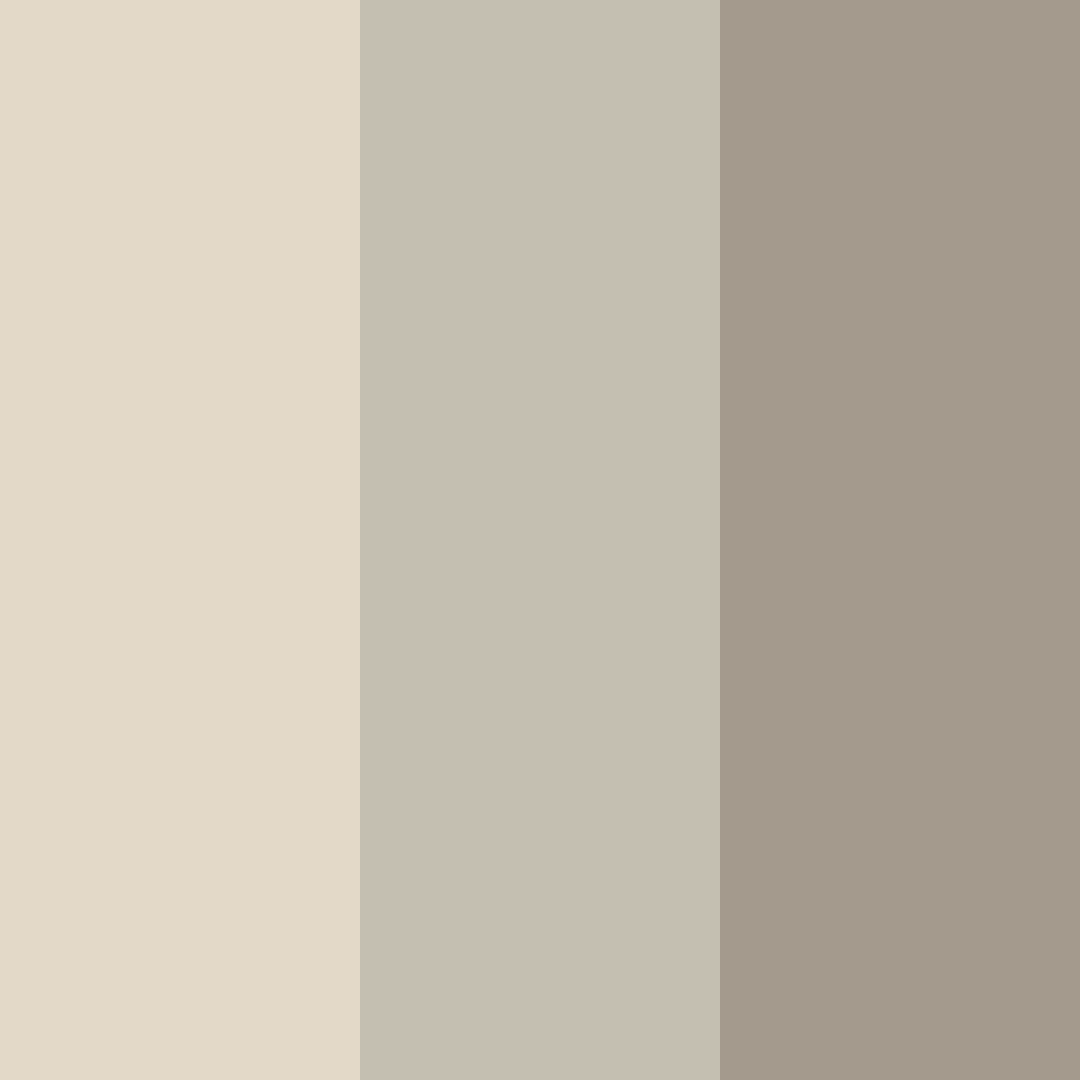 Download shades of beige color palette PNG image (square)