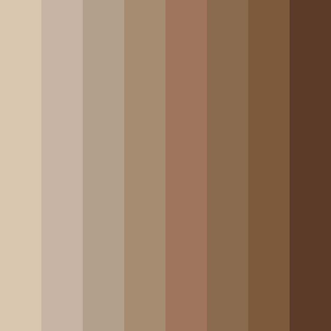 Download brown shades color palette PNG image (square)