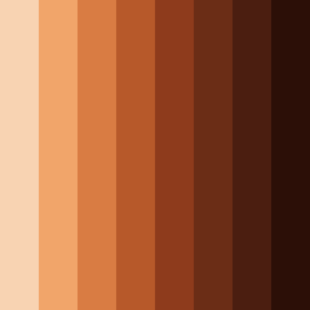 Download autumn embrace color palette PNG image (square)