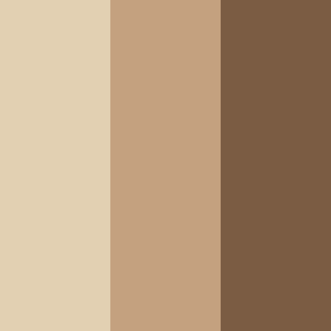 Download earthy serenity color palette PNG image (square)