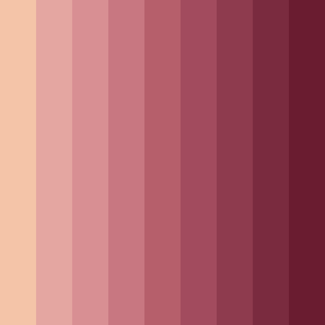 Download blushing rosette color palette PNG image (square)
