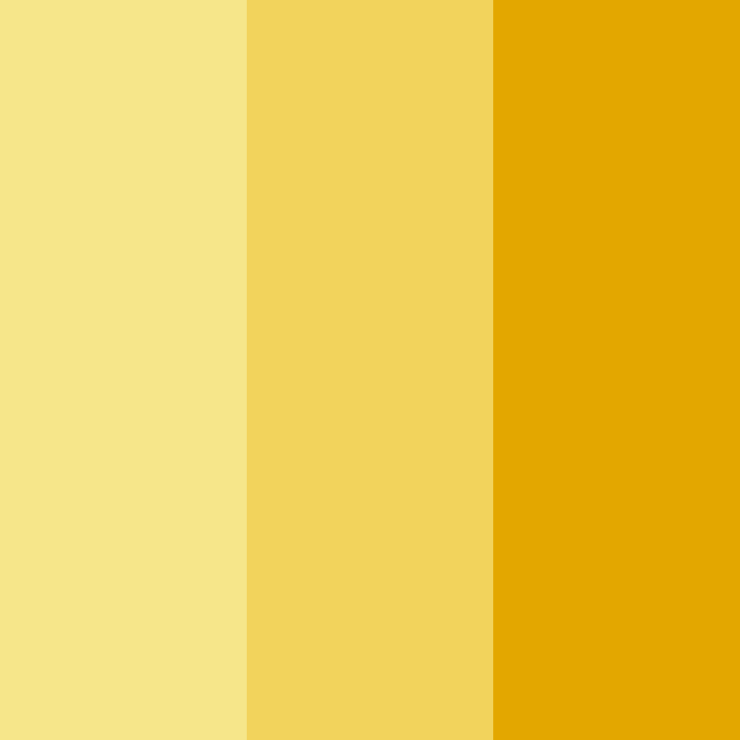 Download daffodil dreams color palette PNG image (square)