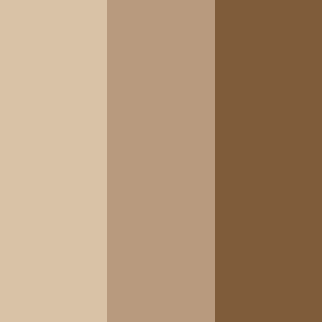 Download brown coffee color palette PNG image (square)