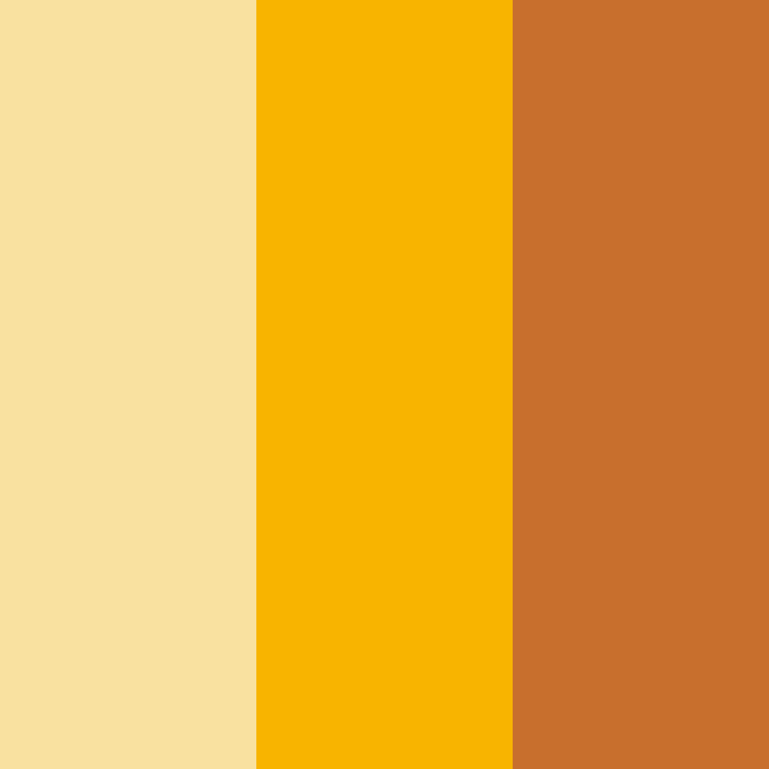 Download orange sunshine color palette PNG image (square)