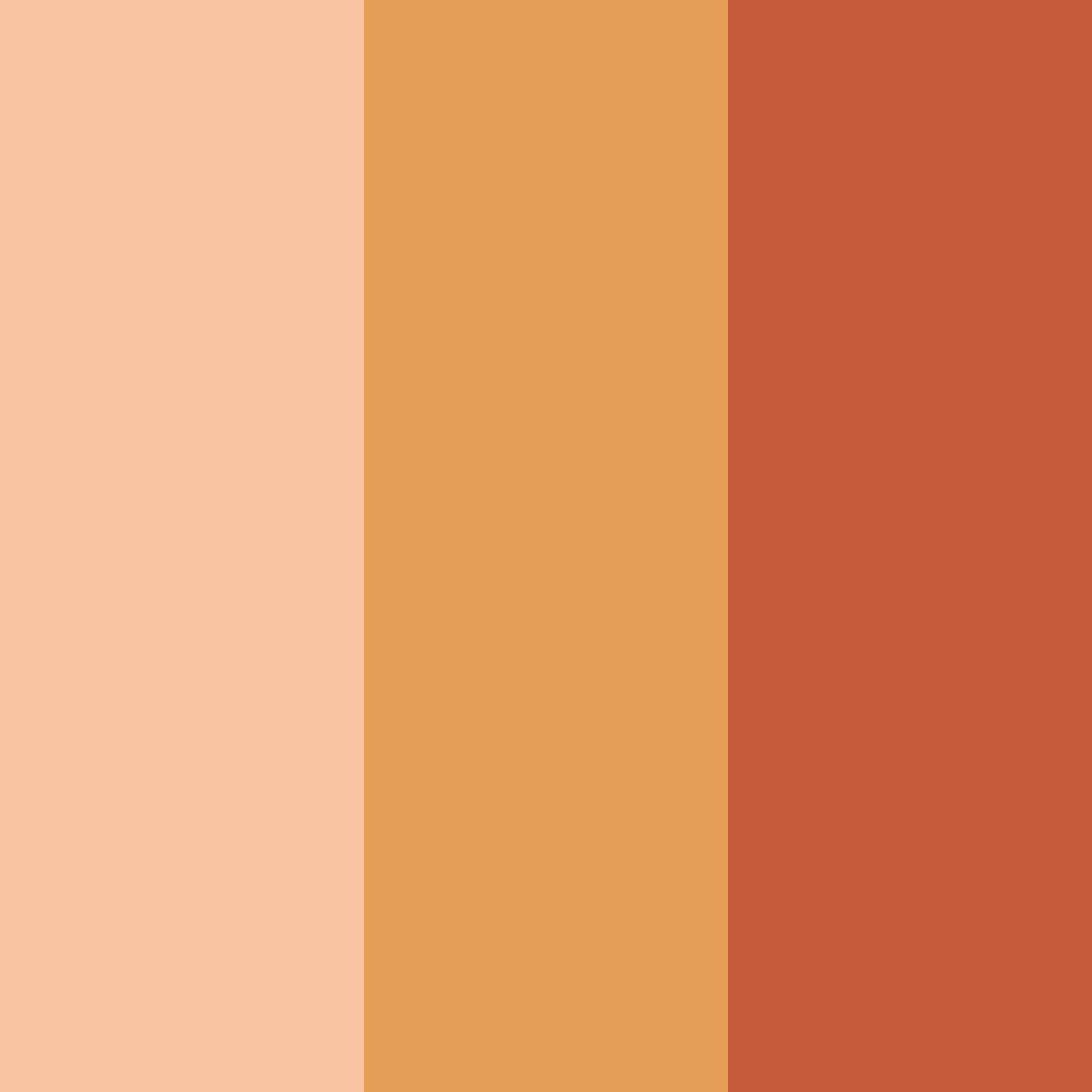 Download orange autumn flower color palette PNG image (square)