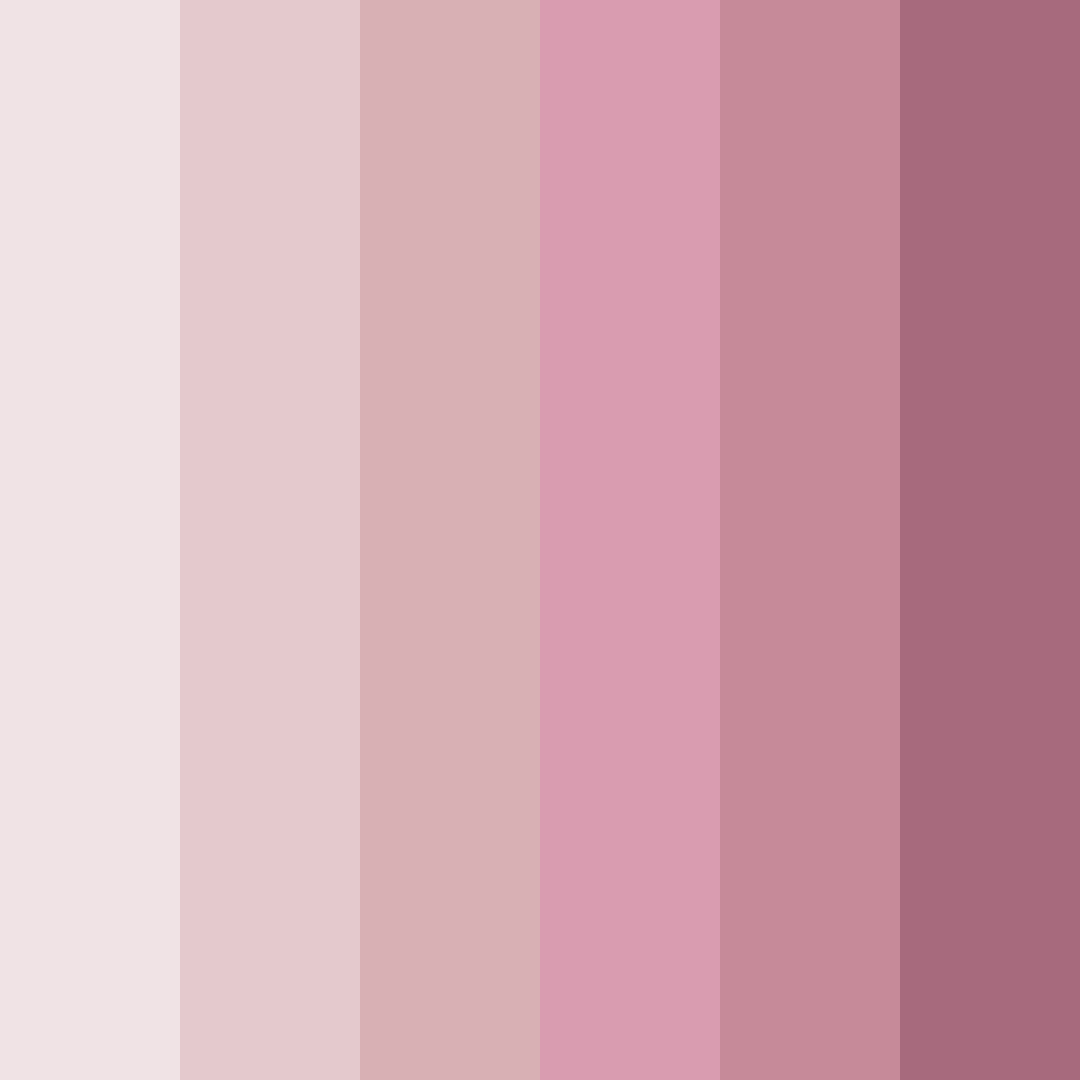 Download blushing petals color palette PNG image (square)