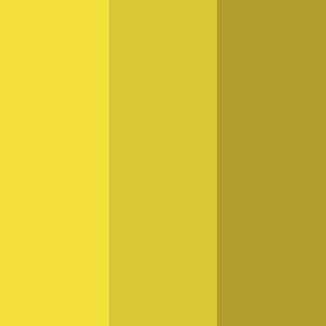 Download golden marshlands color palette PNG image (square)