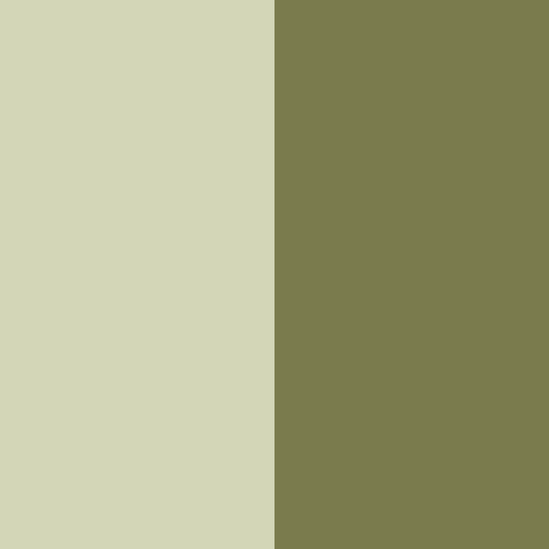 Download olive green color palette PNG image (square)