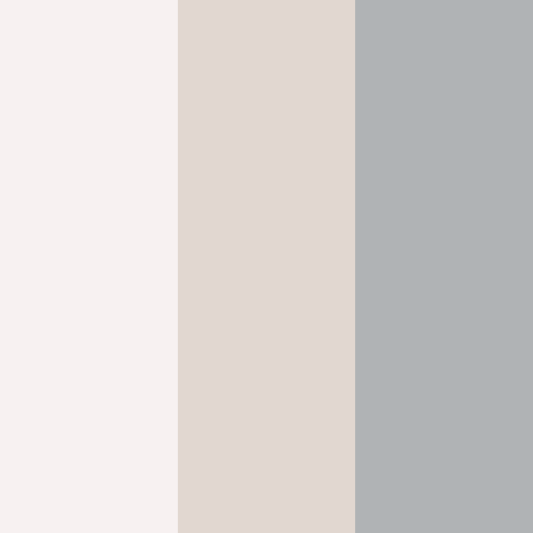 Download serene driftwood color palette PNG image (square)