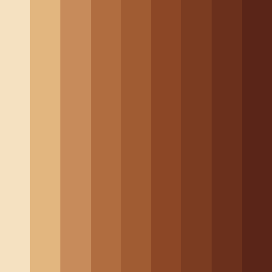 Download warm brown shades color palette PNG image (square)