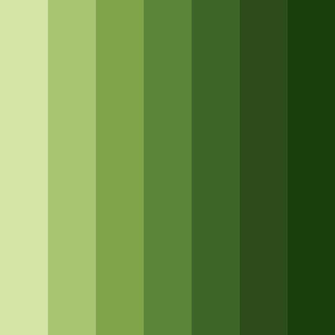 Download forest floor harmony color palette PNG image (square)