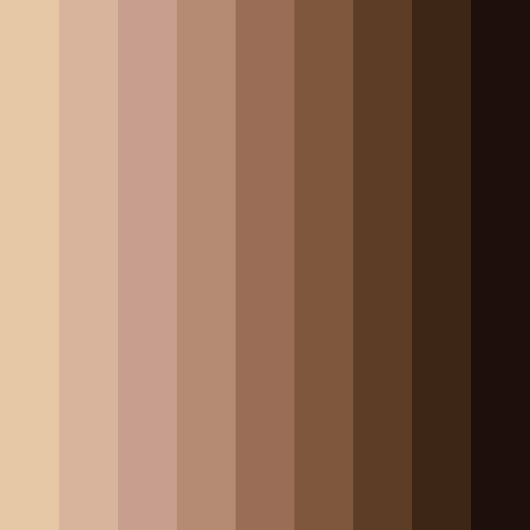 Download rich brown color palette PNG image (square)