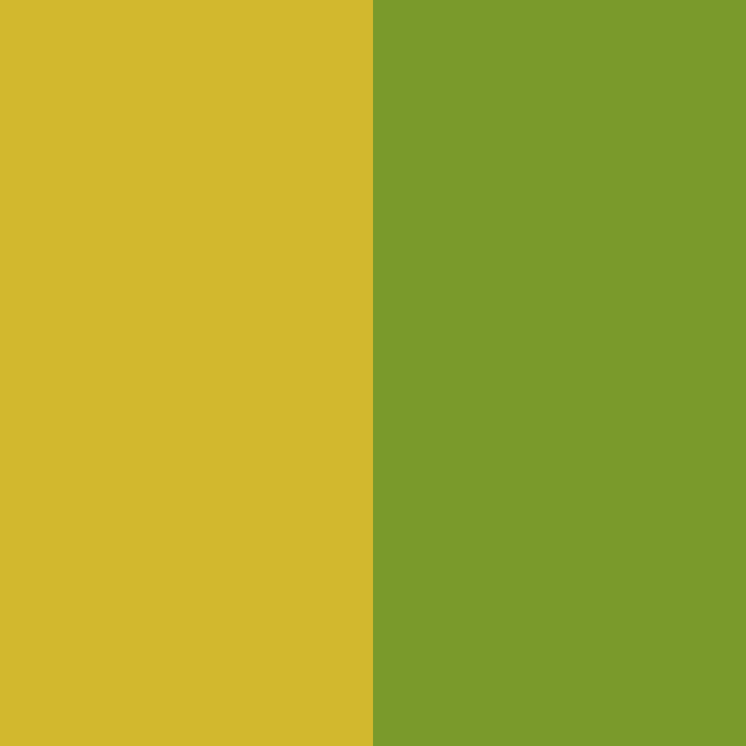 Download deep yellow olive color palette PNG image (square)