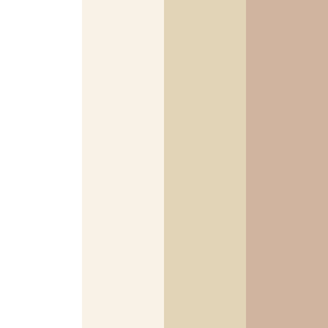 Download warm ivory color palette PNG image (square)