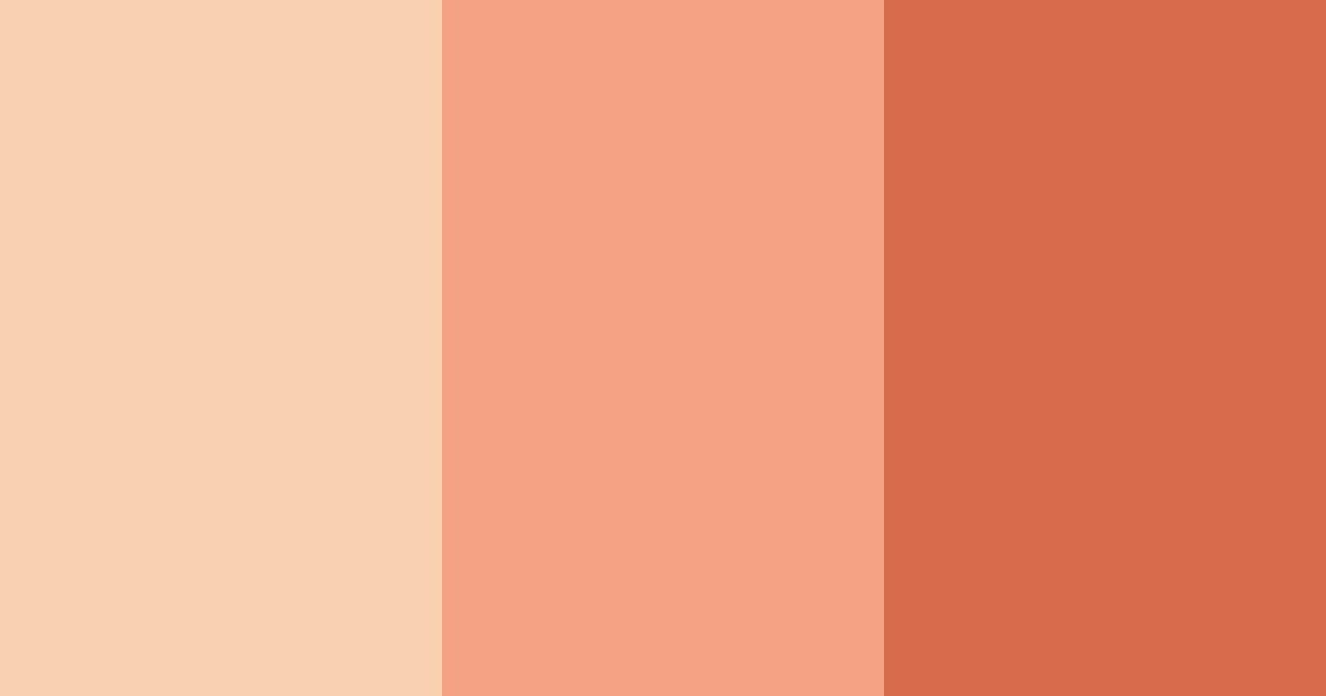 Download sunset embrace color palette PNG image (landscape)