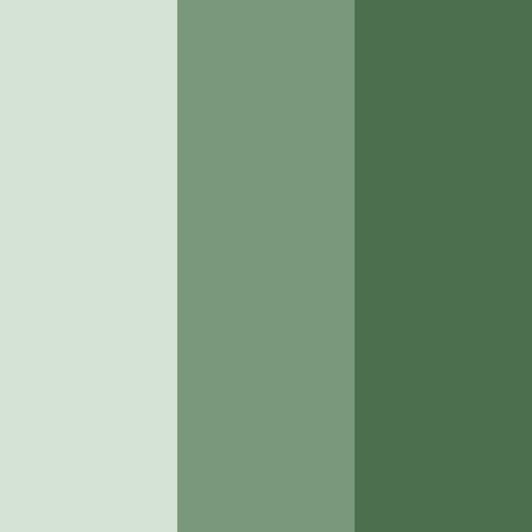 Download emerald whisper color palette PNG image (square)