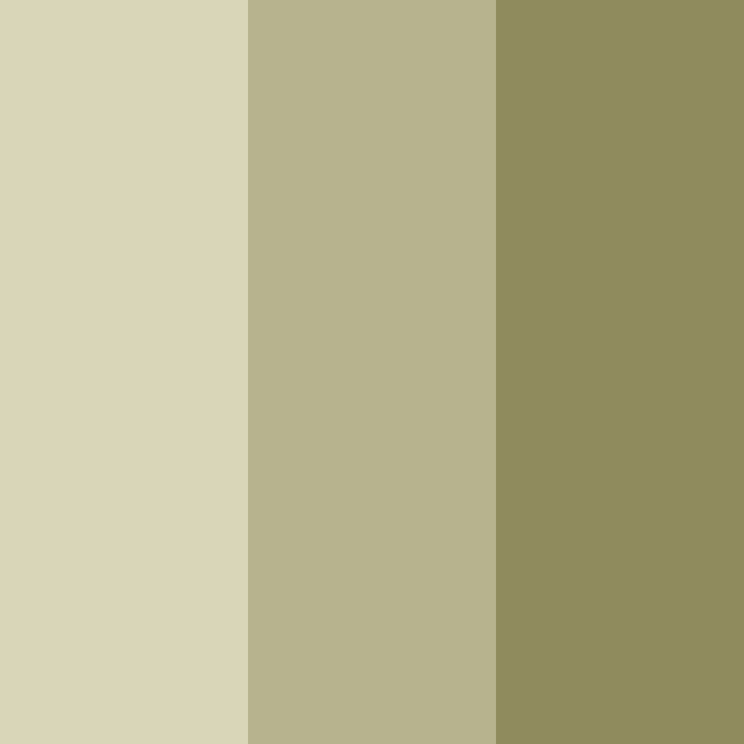 Download shades of beige color palette PNG image (square)