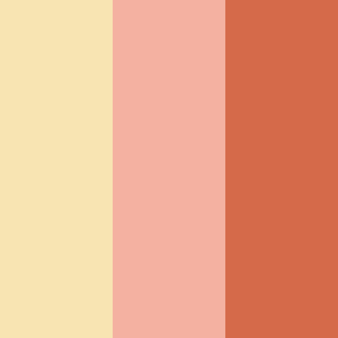Download peachy shades color palette PNG image (square)