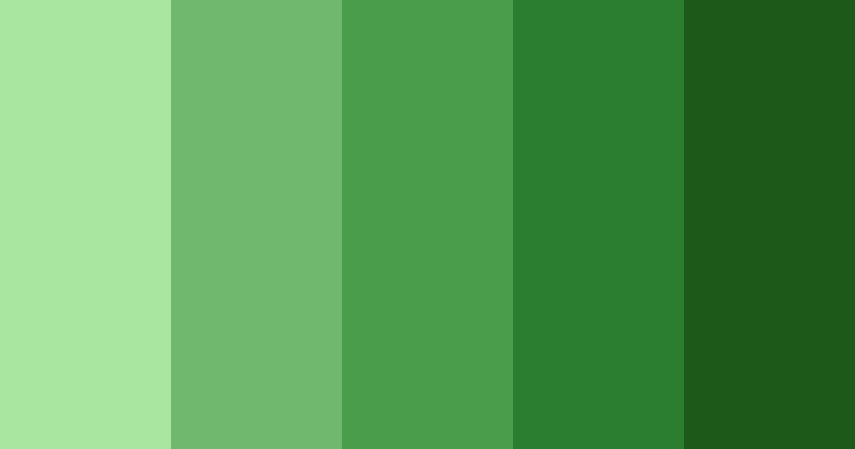 Download emerald harmony color palette PNG image (landscape)