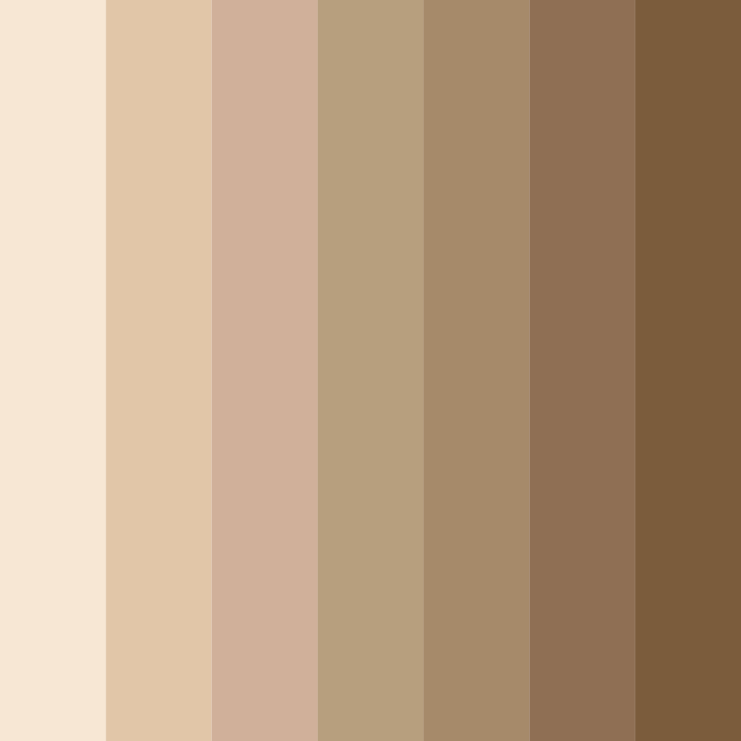 Download champagne shades color palette PNG image (square)