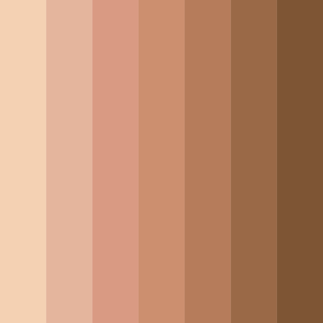 Download desert sunrise color palette PNG image (square)