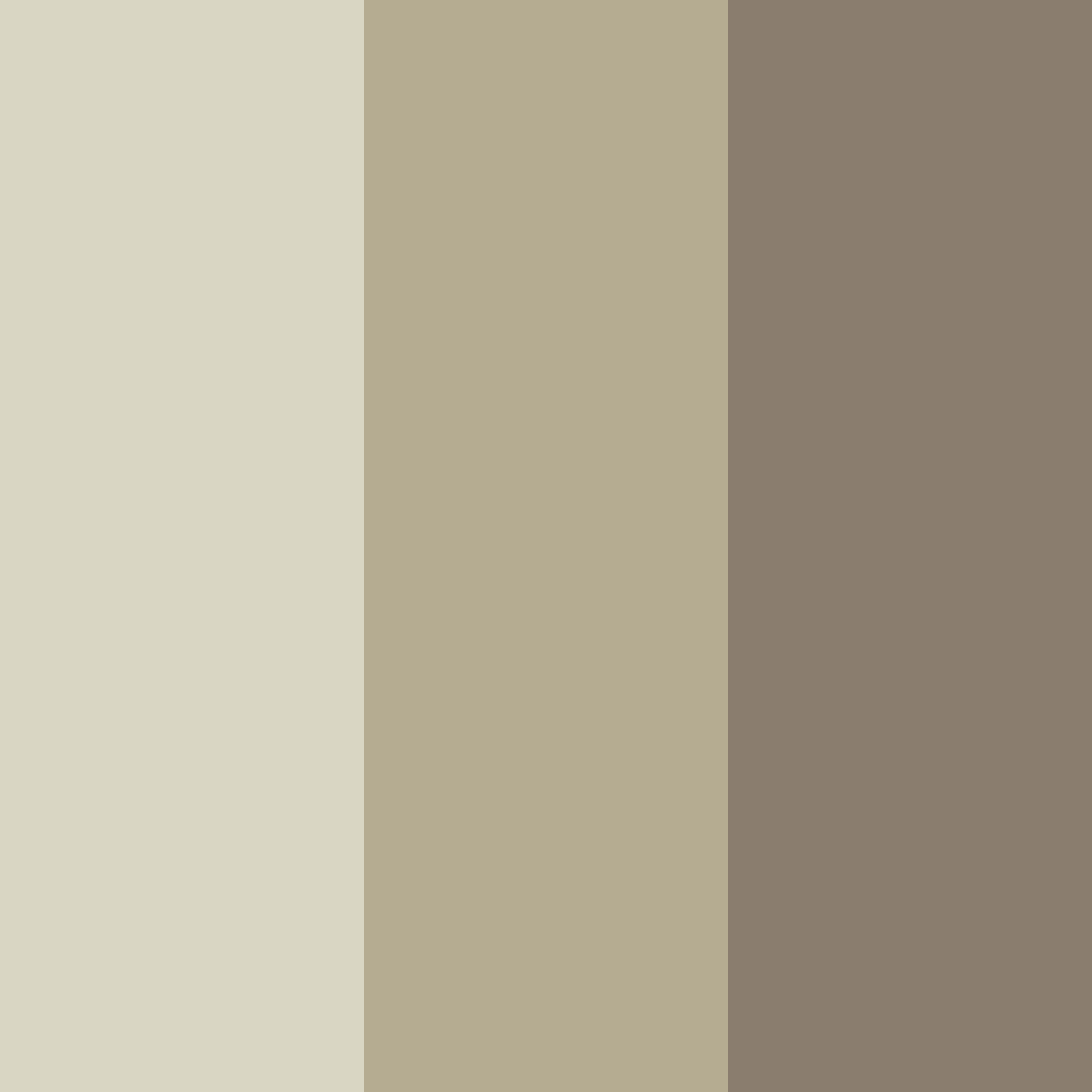 Download neutral beige color palette PNG image (square)