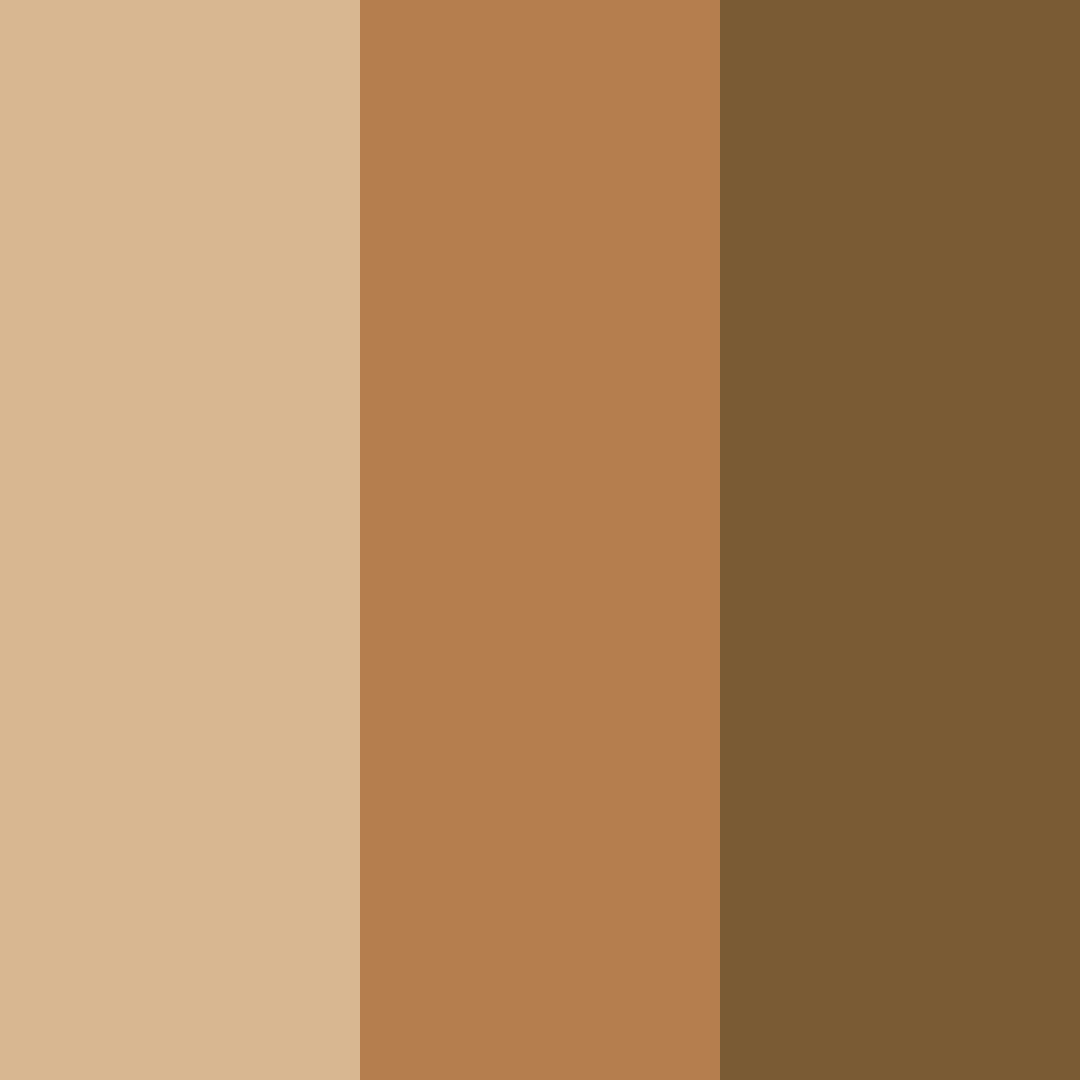 Download terra cotta dreams color palette PNG image (square)