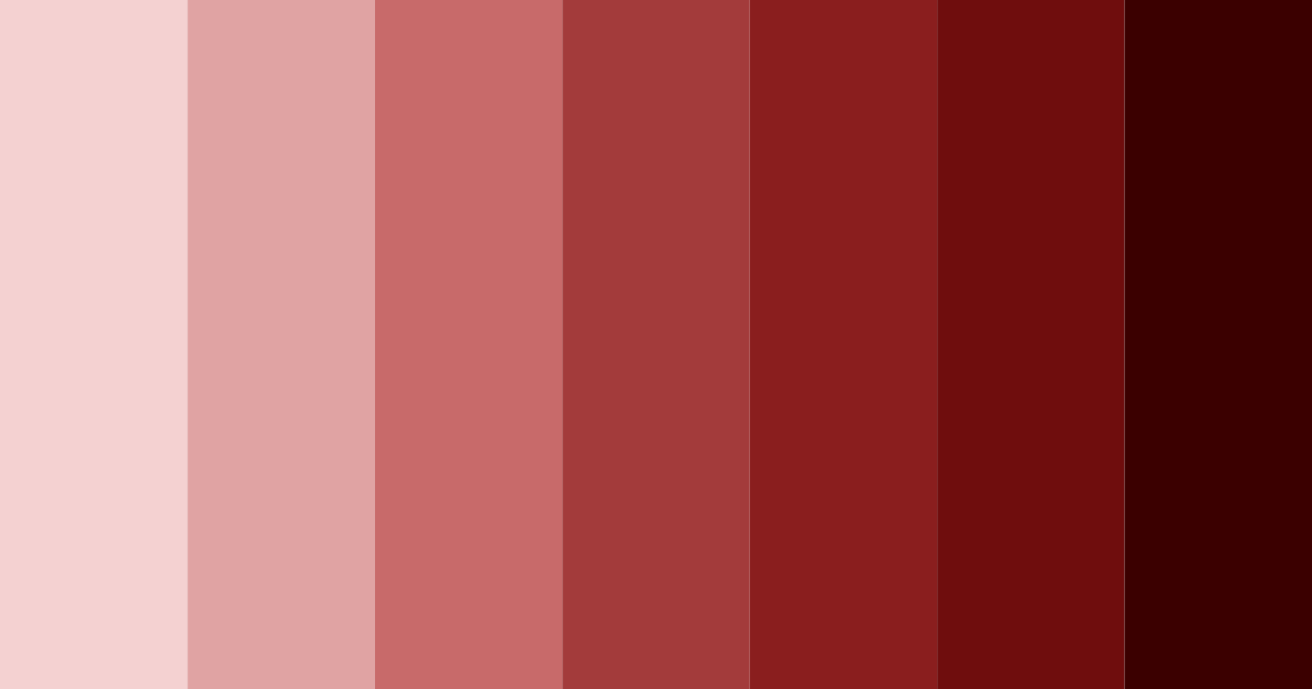 Download dark burgundy color palette PNG image (landscape)