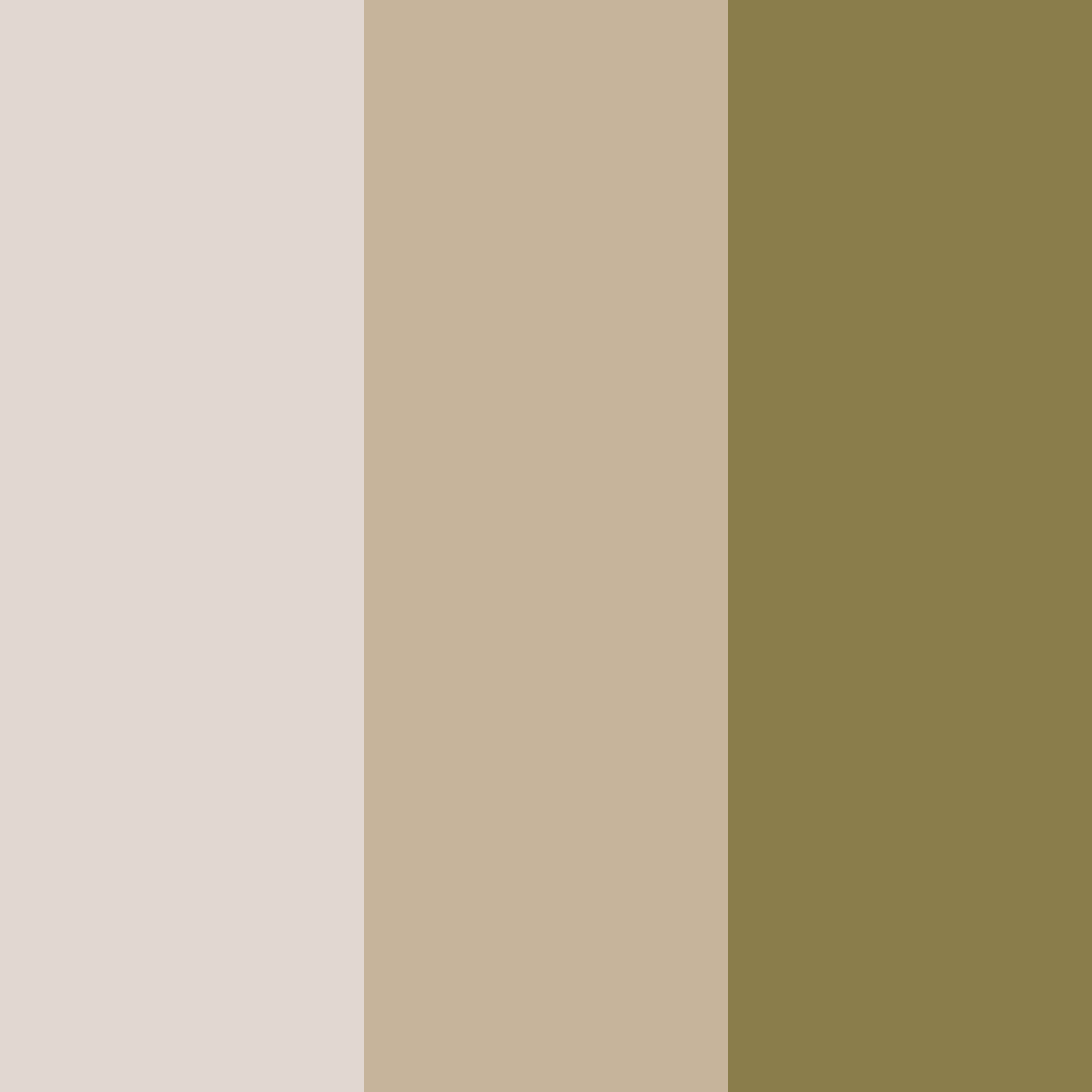 Download luxury beige color palette PNG image (square)