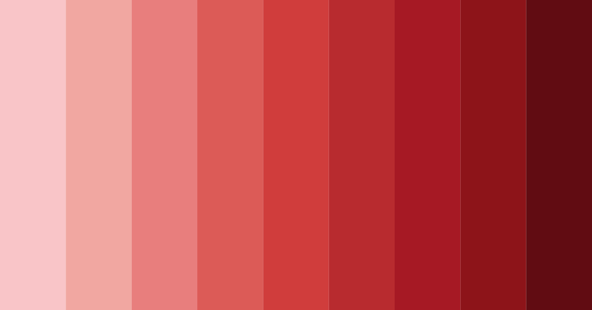Download red celebration color palette PNG image (landscape)