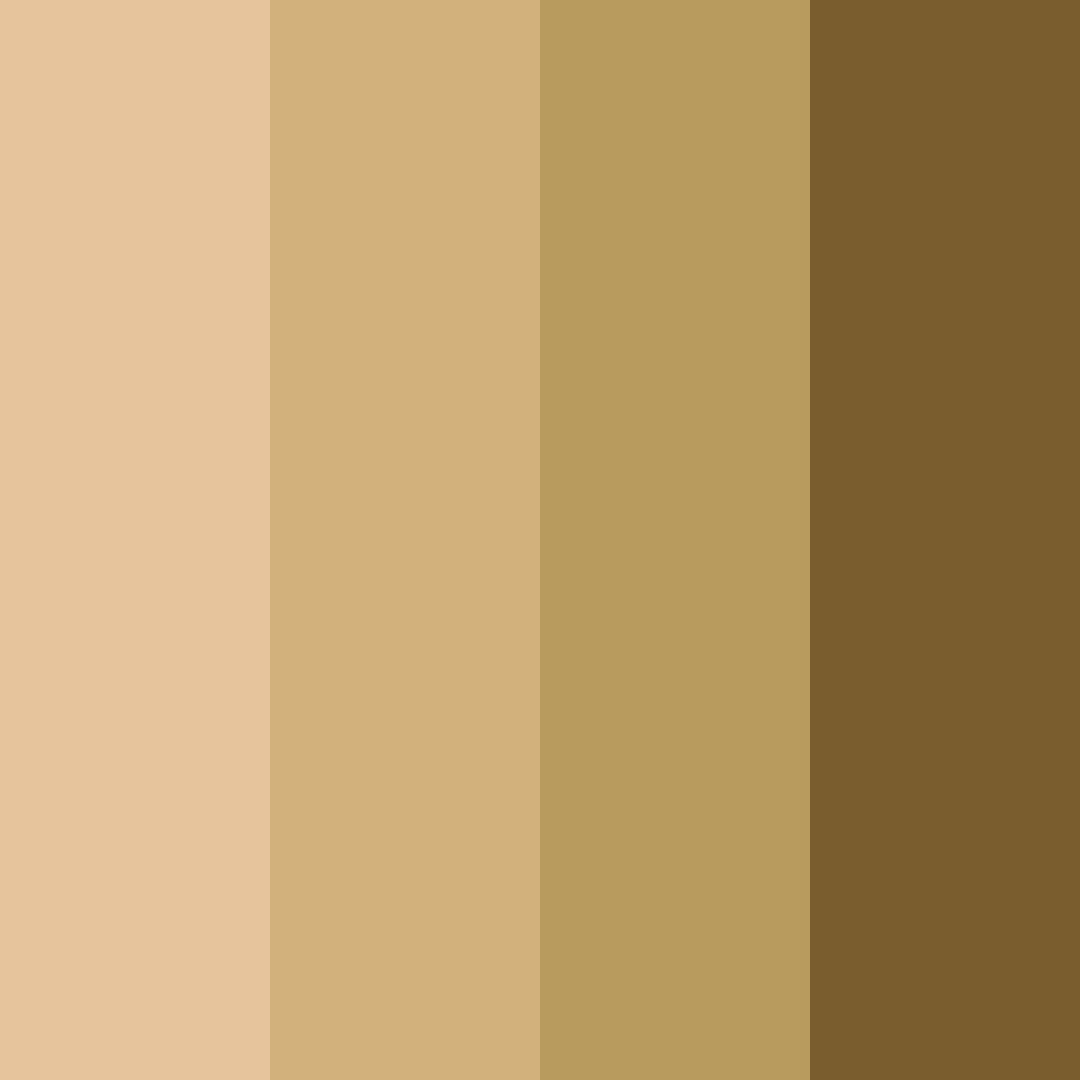 Download brown dune color palette PNG image (square)